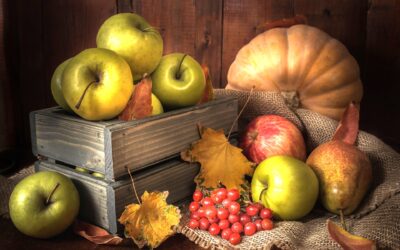 15 Healthy Autumn Recipes