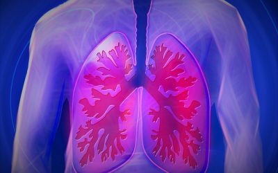 Tips to Maintain Healthy Lungs