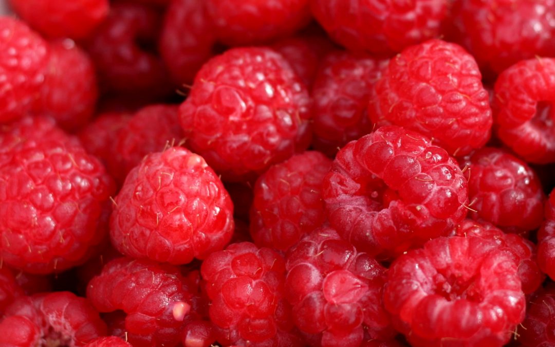 Raspberries (plus Raw Raspberry Coulis recipe)