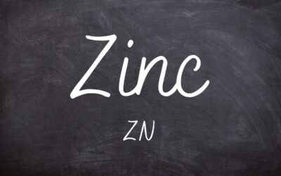 The Health Benefits of Zinc in Your Diet